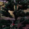 Premium Christmas Tree – 6 ft