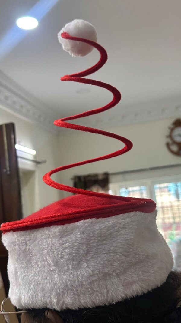 03fd4a03-3deb-47fb-80c8-f22c2578f78a Spiral Christmas Hat