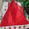LED Santa Hat – Red Star Lights