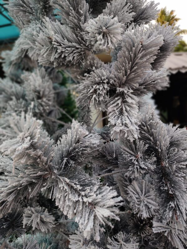 Premium Christmas Tree – 10 ft