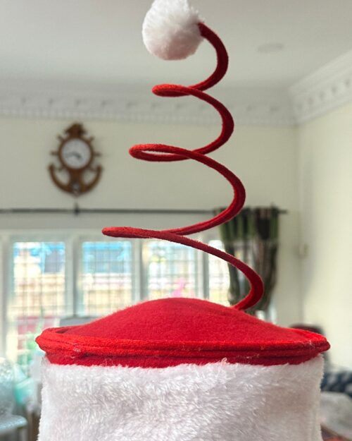 Spiral Christmas Hat