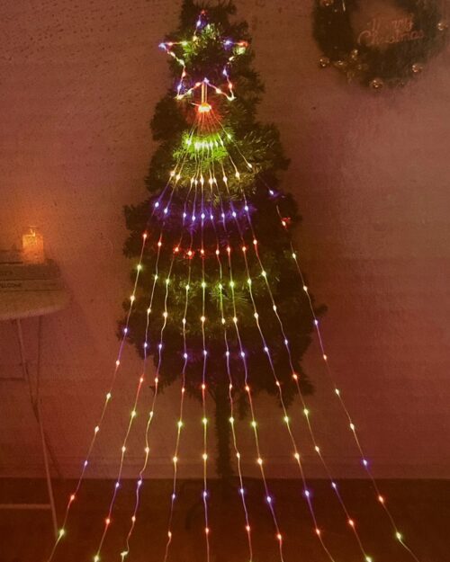 Christmas Tree LED Star Net Light (Multicolour)