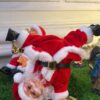 Animated dancing Santa
