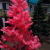 Vibrant Pink Christmas Tree – 6 Feet