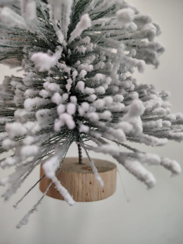 Snow-Frosted Mini Christmas Tree – 200g