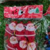 Christmas Decoration Combo Set – Mixed Pack (Mini Santas, Snowmen, Stars, Bells & Apples)