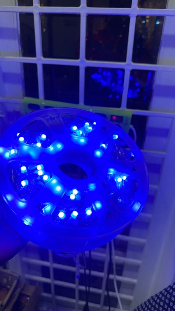 50M LED Rope Light – Blue Glow (Reel Pack)