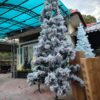 Premium Christmas Tree – 10 ft