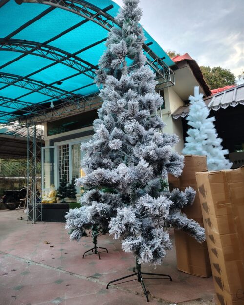 Premium Christmas Tree – 10 ft