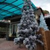 Premium Christmas Tree – 10 ft