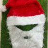 Santa Cap + Long Beard Set