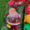Premium Christmas Decoration Combo Set