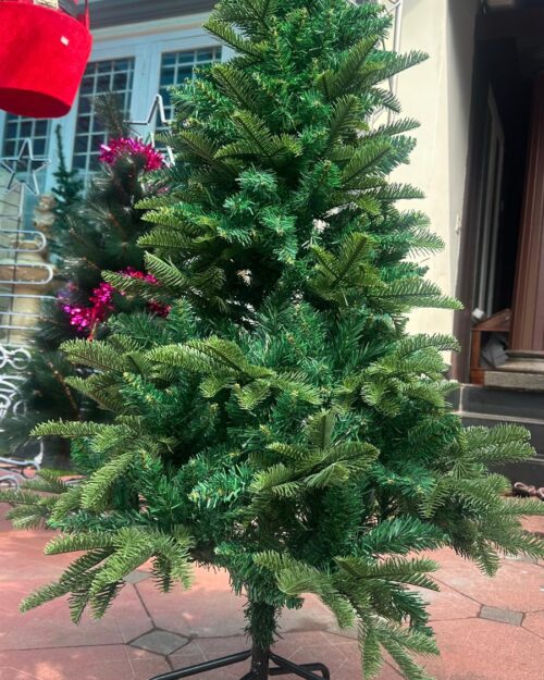 Premium tree - 5ft