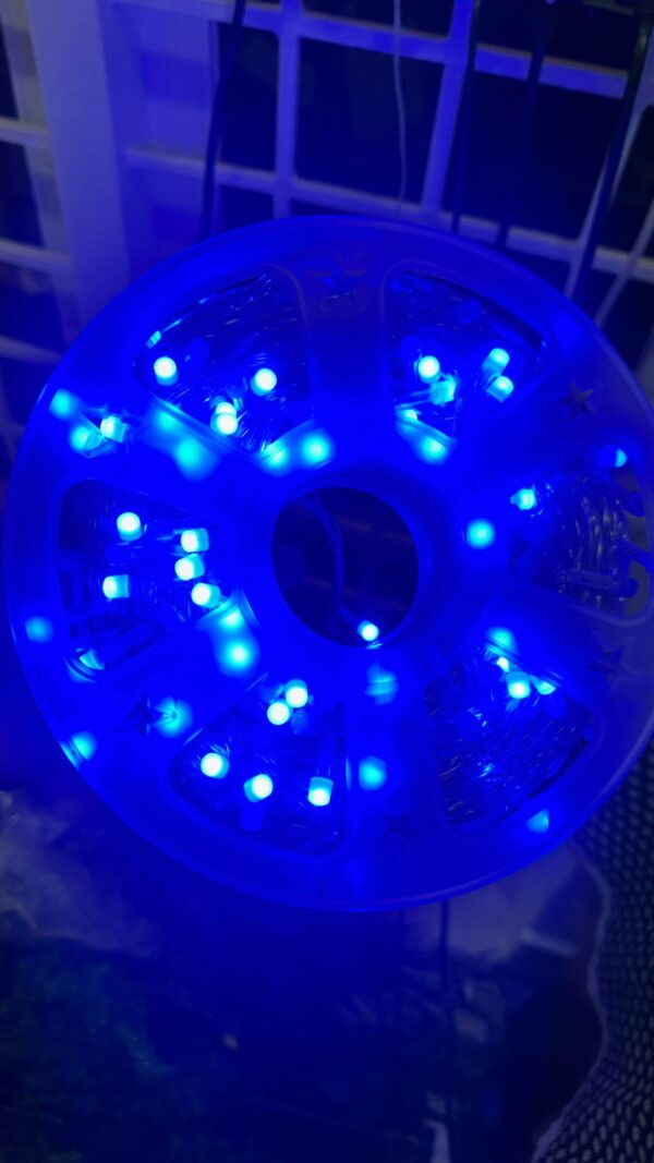 50M LED Rope Light – Blue Glow (Reel Pack)
