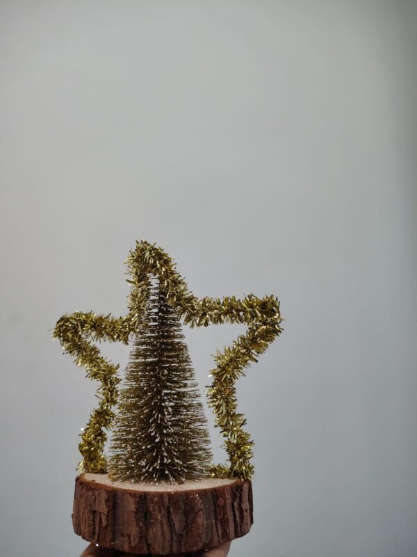 Golden Mini Christmas Tree with Star Frame – 200g