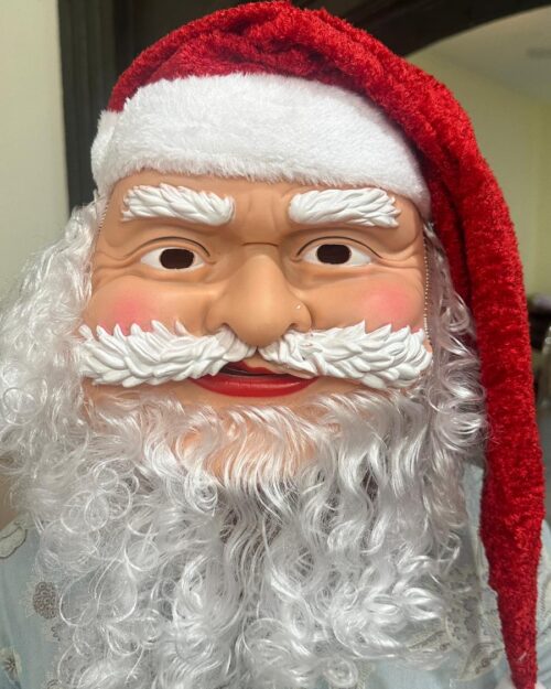 cf164b6b-137c-4305-997b-8c0255e0f507 Santa Claus Face Mask with Hat