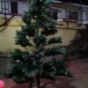 Premium Christmas Tree – 6 ft