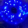 50M LED Rope Light – Blue Glow (Reel Pack)