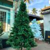 Premium Christmas Tree – 6 feet