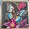 Butterfly Resin Art Frames – Nature Collection (1×1 ft)