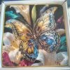 Butterfly Resin Art Frames – Nature Collection (1×1 ft)