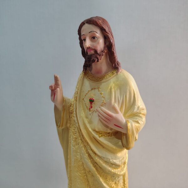 WhatsApp Image 2026-07-16 at 8.35.18 AM (1) sacred heart of jesus